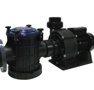 Pompe De Filtration Série F–SMALL GIANT (2900 Rpm)